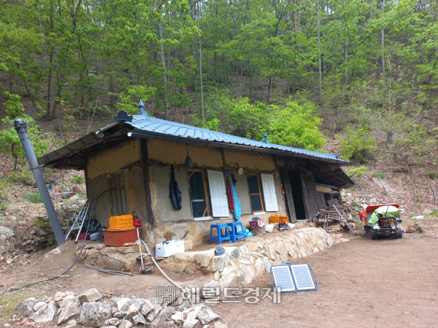 봉화군 소천면의 각금마을 가옥 (봉화군 제공)