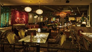 Teleport to a tropical rainforest