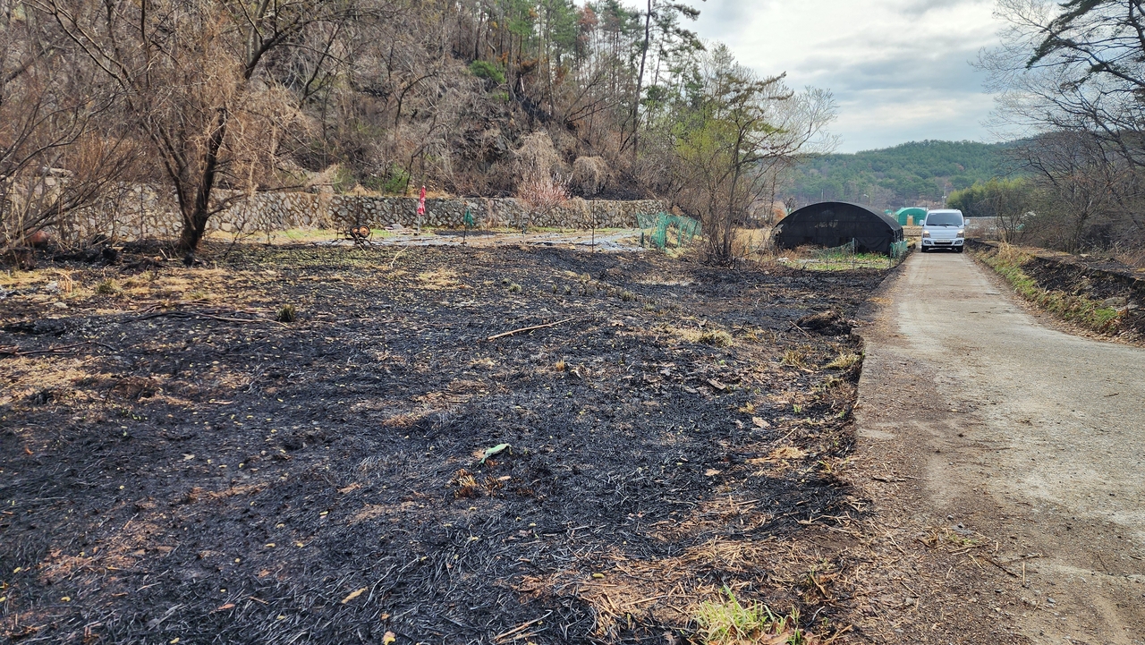 The land in Ulsan is completely burnt after wildfires. (Yonhap)