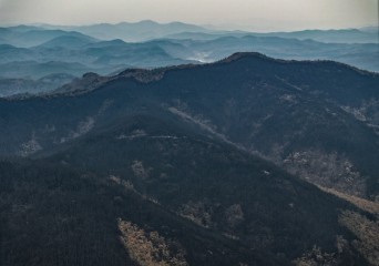 Firefighters race to contain worst wildfire disaster in southeastern region