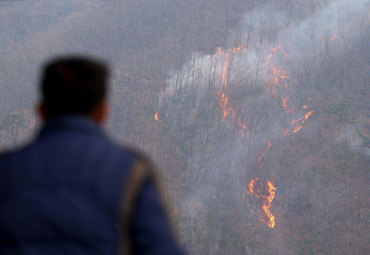 A resident watches a wildfire spread on a mountain in Uiseong, North Gyeongsang Province, on Thursday, (Yonhap)
