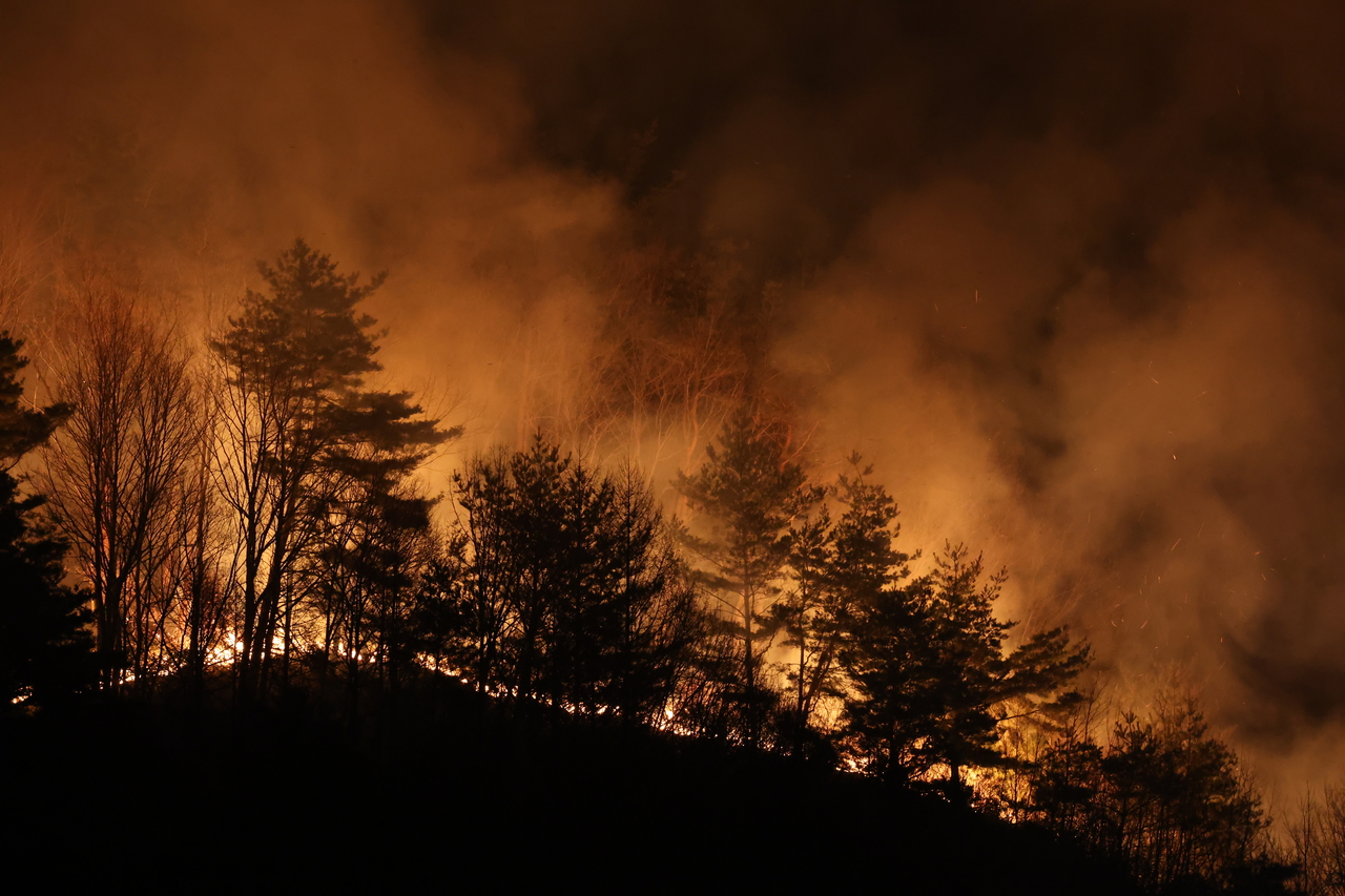 Forest fires in Sancheong-gun, South Gyeongsang Province, Thursday (Yonhap)