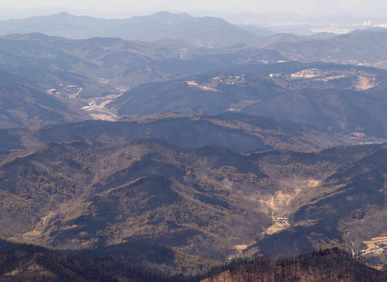 An aerial view of a forest destroyed by wildfires in North Gyeongsang Province, Saturday. (Yonhap)