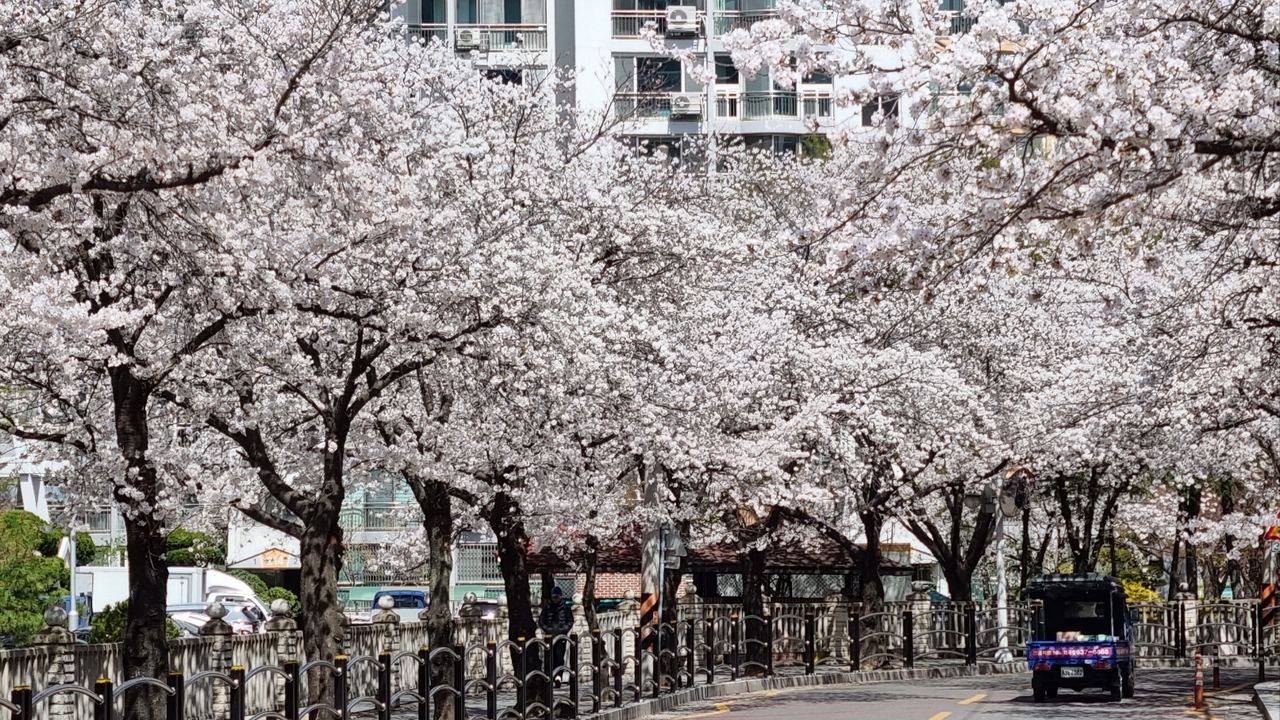 [사진=김병진  기자]