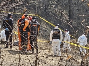 Investigating origin of Uiseong wildfire