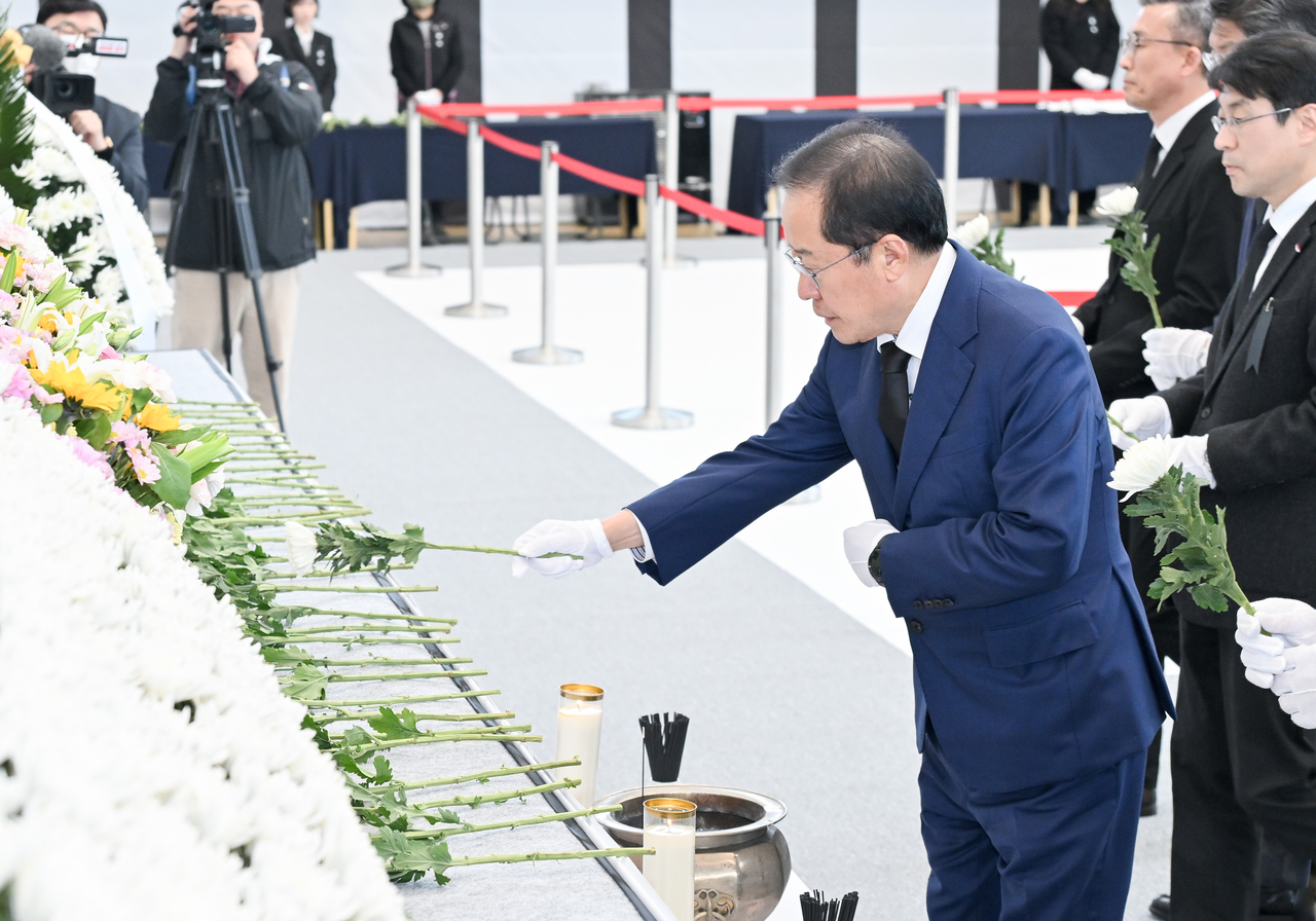 [대구시 제공]