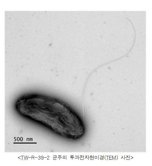 [국립낙동강생물자원관 제공]