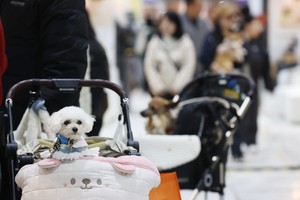 S. Korea seeks to boost animal medicine market to W4tr by 2035: ministry