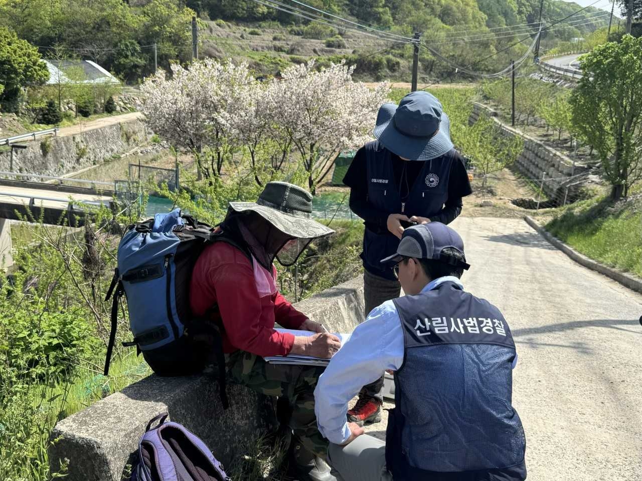 산림사법 경찰관이 산림 내 불법행위를 단속하고 있다.(남부지방 산림청 제공)
