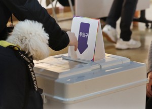 By-elections underway for 23 vacant posts