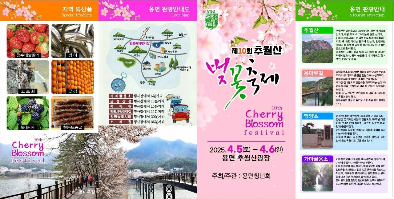추월산 벚꽃축제