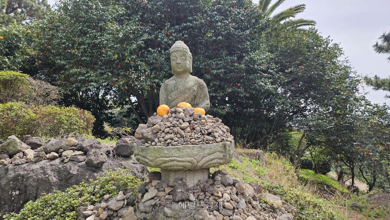 약천사 한 불상에 소원을 비는 돌과 함께 천혜향이 올려져 있다.