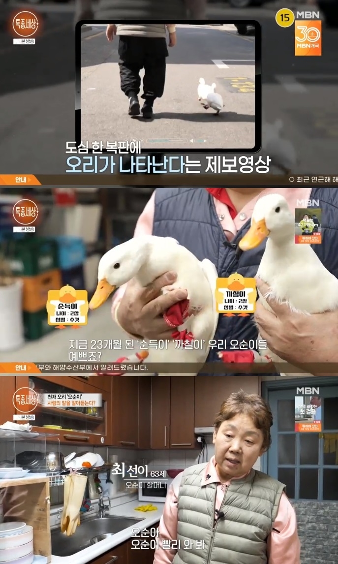MBN ‘특종세상’ 방송캡쳐