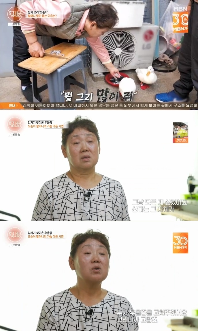 MBN ‘특종세상’ 방송캡쳐