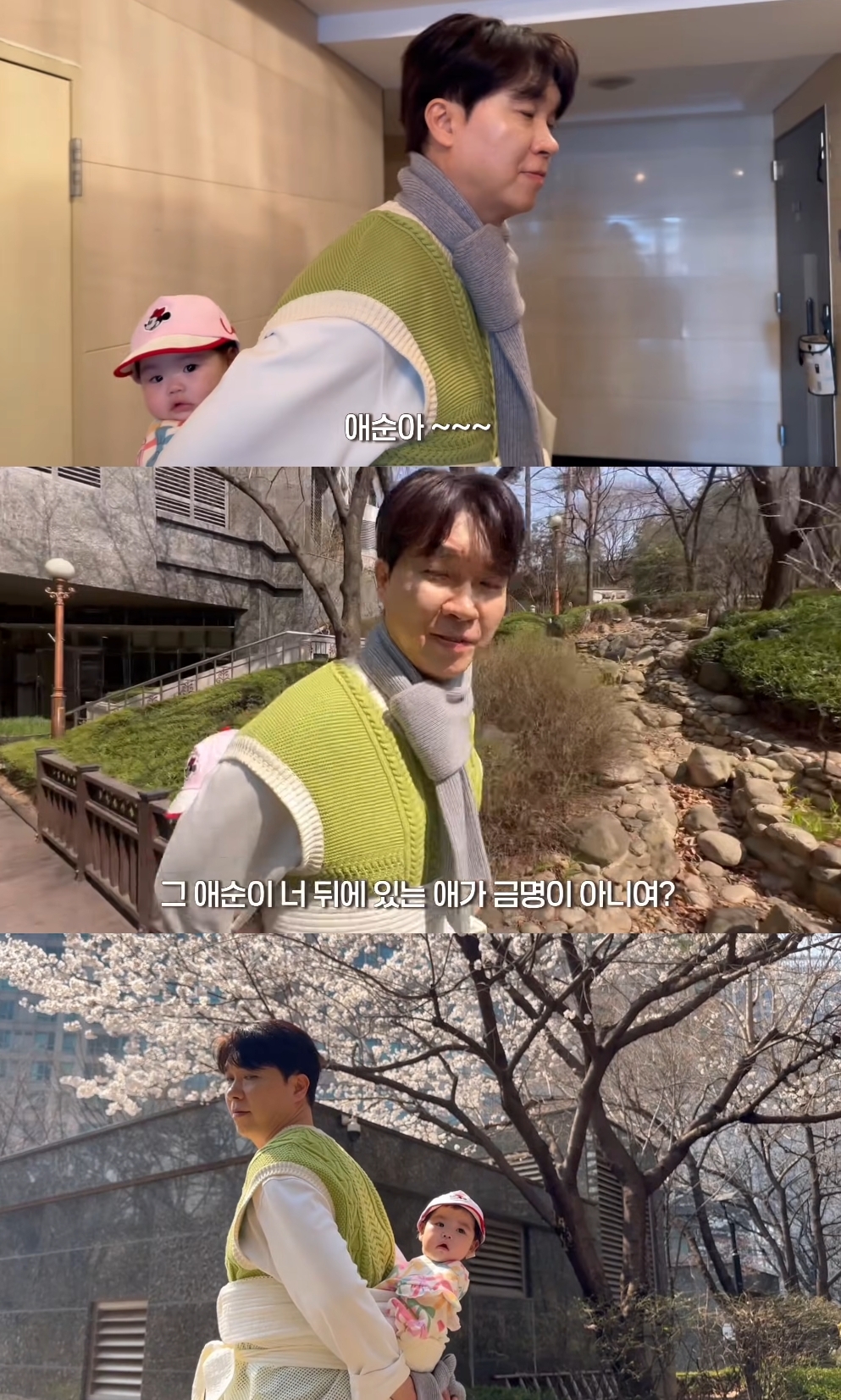박수홍 유튜브 캡처