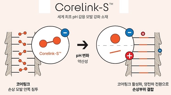 코어링크-S 기술의 작용도 [코스맥스 제공]