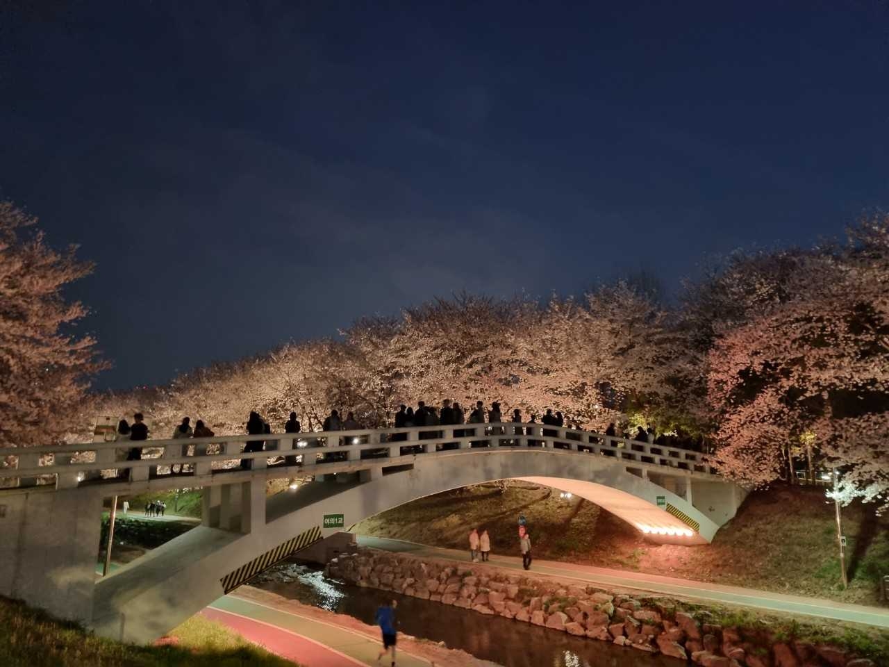 [서초구 제공]