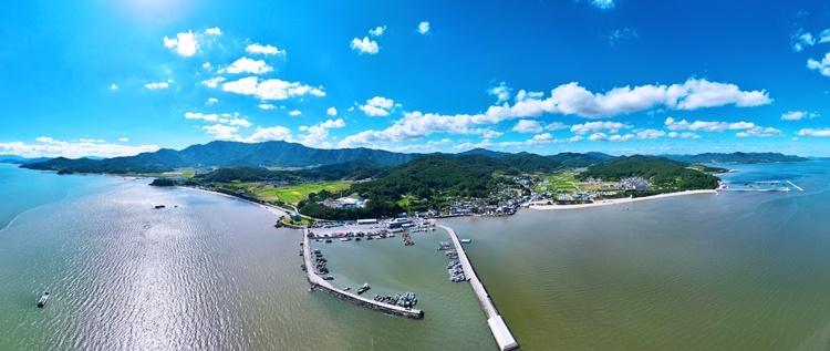 보성군 회천면 율포항.