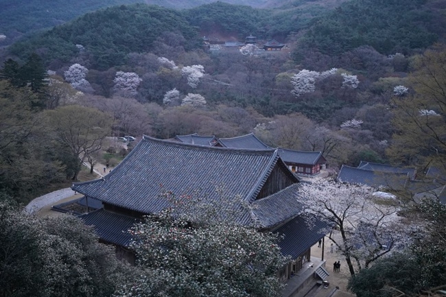 구례 화엄사 각황전. [화엄사 홍보기획위원회 제공]