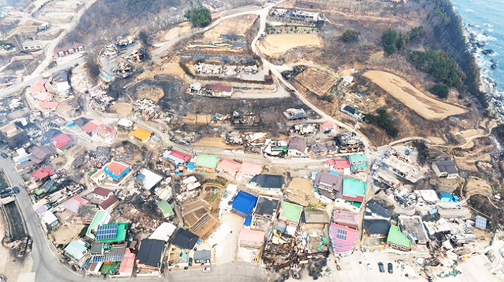 산불로 큰 피해를 입은 영덕읍 노물리 모습(영덕군 제공)