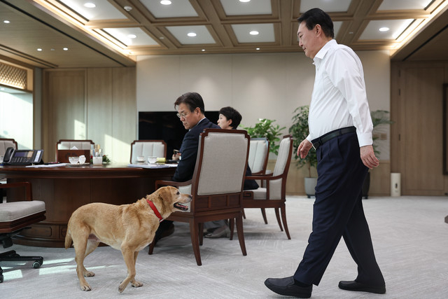 Saeromi, the 11th pet of the Yoon-Kim couple, is seen at the presidential office in Yongsan-gu, with then President Yoon Suk Yeol (left), in this handout photo released last year. (Presidential Office)