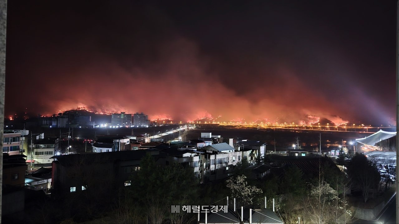 국립경국대에서 바라본 안동산불(독자제공)