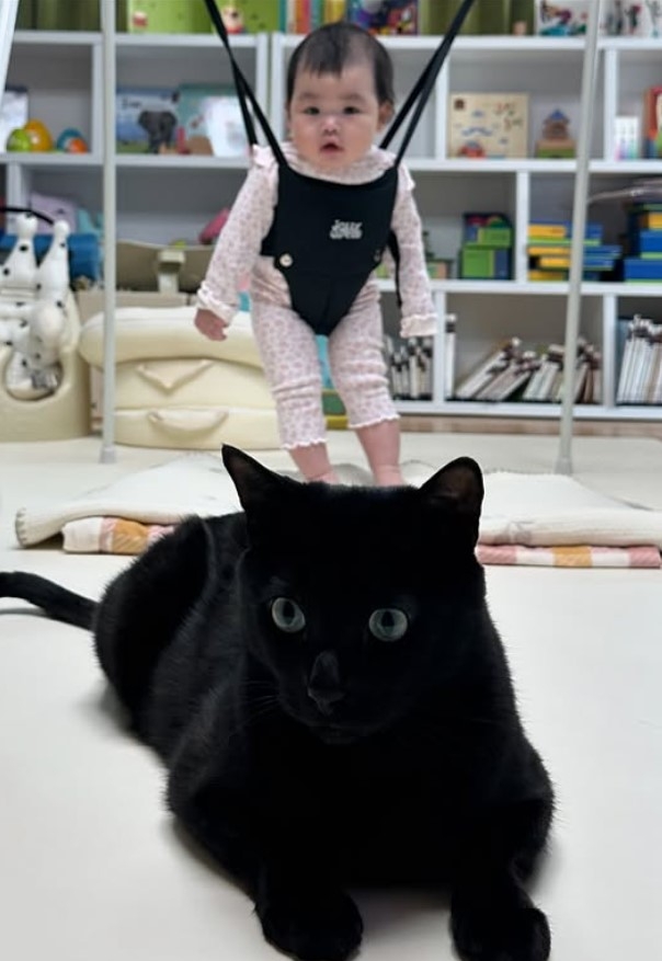 박수홍 딸