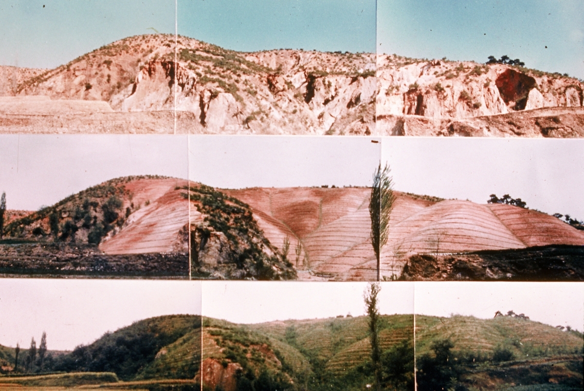 Part of the Korea Reforestation Archives (Korea Heritage Service)