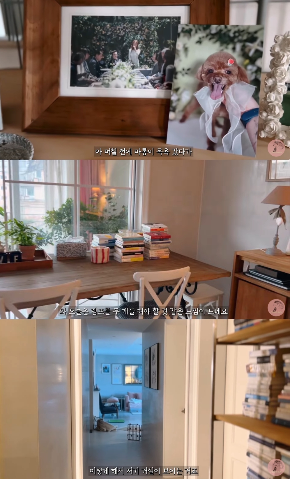강수지 유튜브 캡처