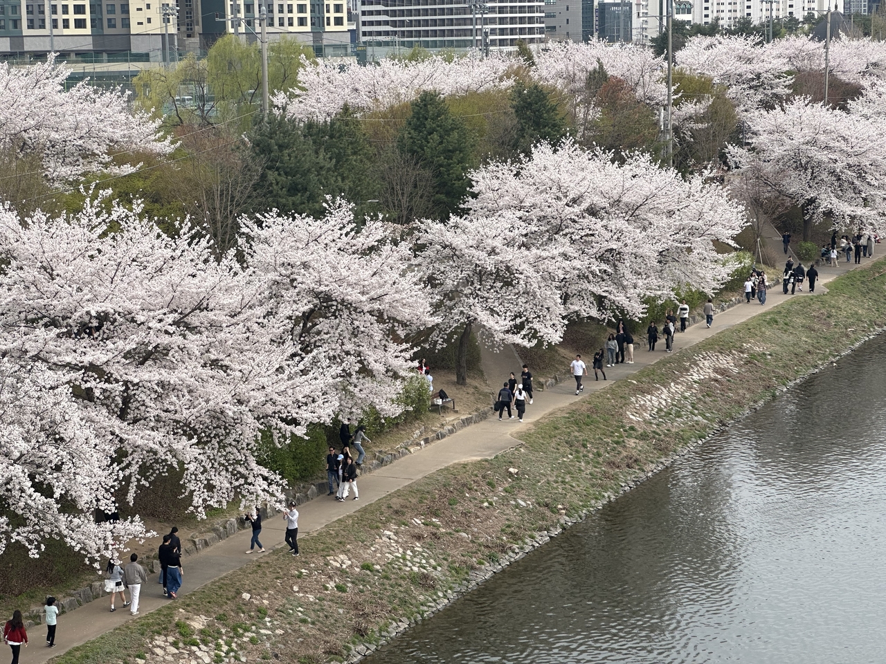 A high-angle view of a lakeside trail at Gongjicheon Recreation Area in Chuncheon, Gangwon Province, Saturday (Yonhap)