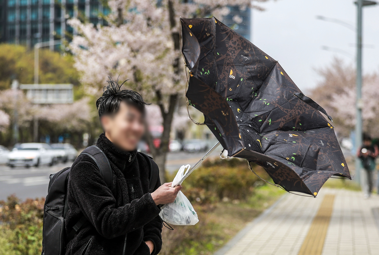 A pedestrian struggles with an umbrella turning inside out as hail and strong winds sweep through Seoul on Sunday. (Newsis)
