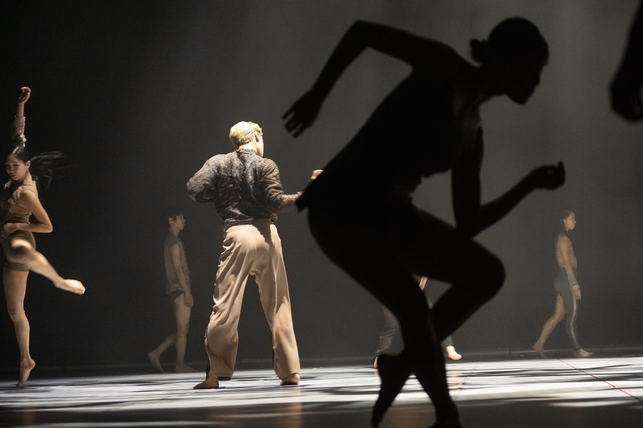 "Jungle" (Korea National Contemporary Dance Company)