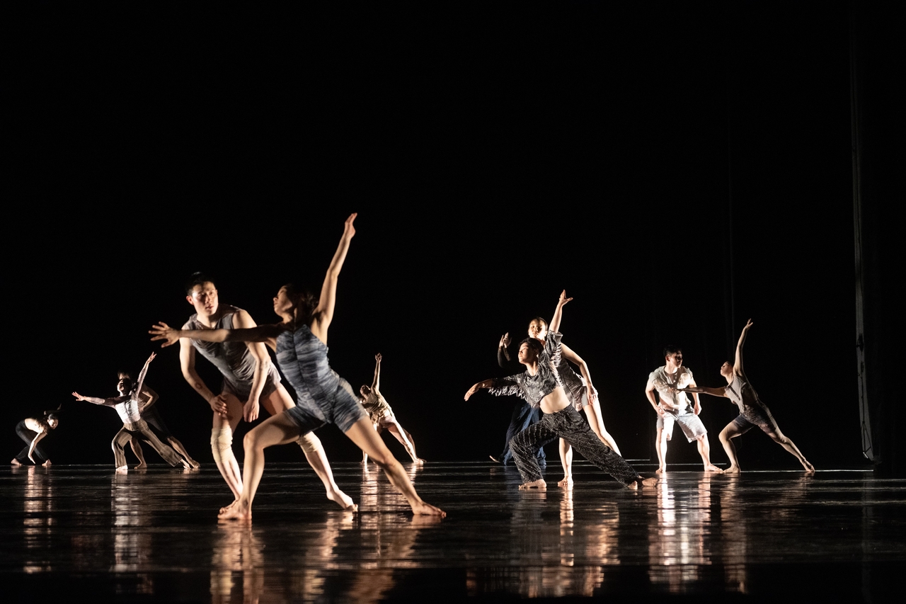 "Jungle" (Korea National Contemporary Dance Company)