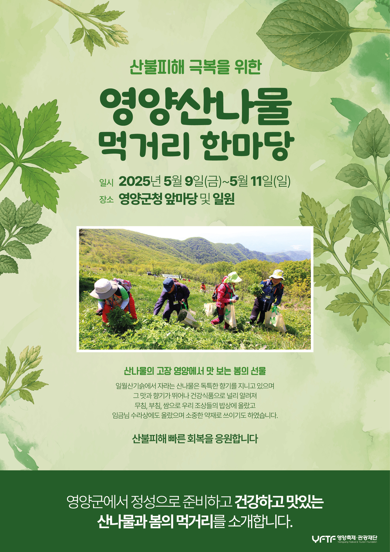 [영양군 제공]