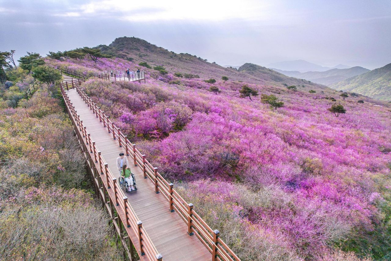 열린관광지, 대구 비슬산