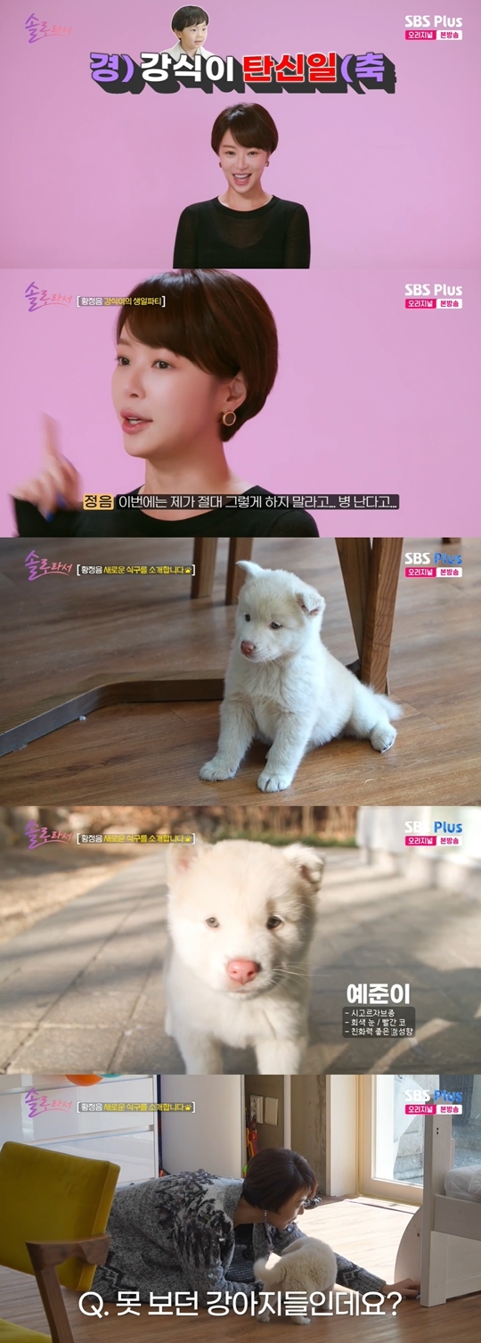 SBS Plus, E채널 ‘솔로라서’ 캡처