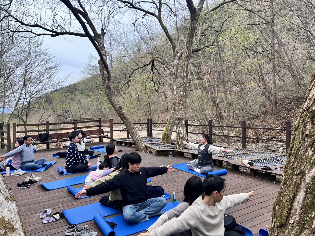 국립산림치유원에서 임신 부부들이 ‘숲속 산전 요가 명상’을 하고 있다. (한국산림복지진흥원 국립산림치유원 제공)