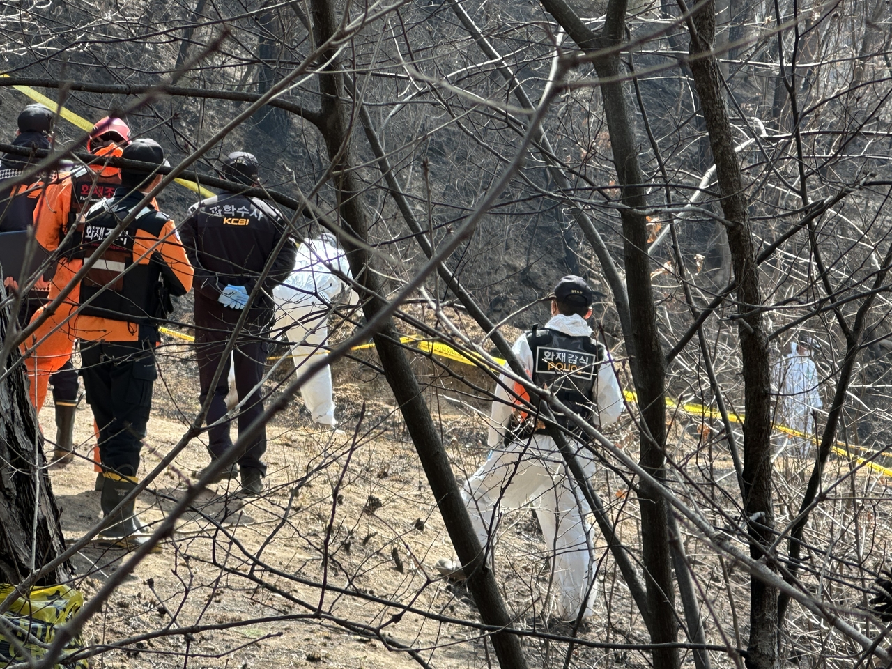 지난달 31일 경북 산불 최초 발화지로 지목된 의성군 안평면 괴산리 산불 발생 현장에서 소방 당국과 국립과학수사연구원 등이 합동 감식을 하고 있다. [연합]
