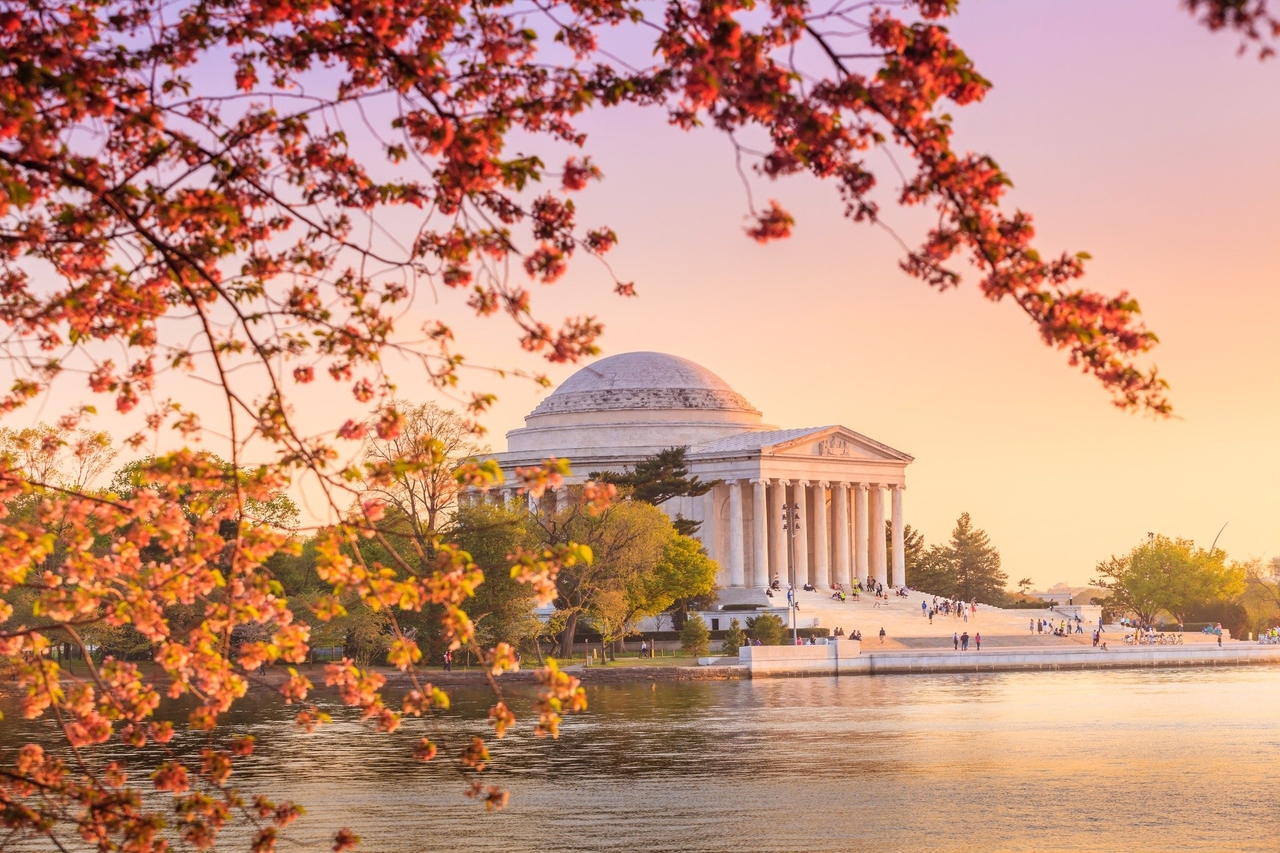 워싱턴 D.C.