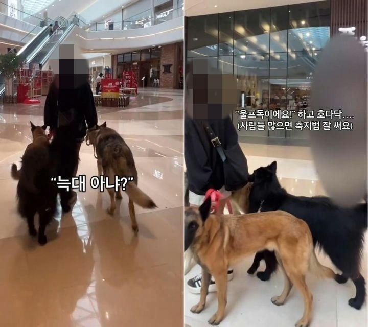 [온라인 커뮤니티]