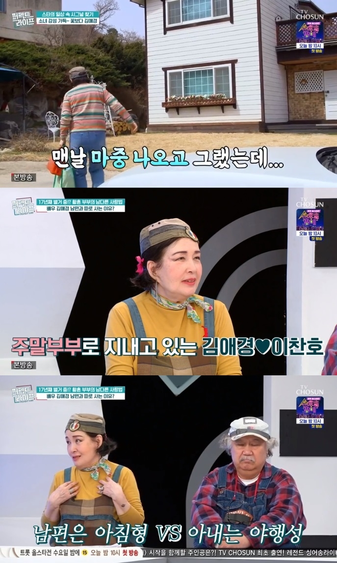 TV조선 ‘퍼펙트 라이프’ 방송캡쳐