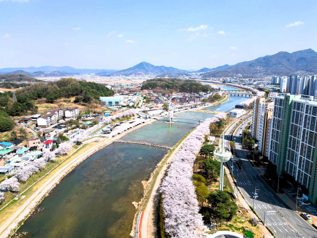 상주시 도심 속 정원 ‘포시즌가든’ 에 봄꽃이 만개해 시민들의 발길이 이어지고 있다(상주시 제공)