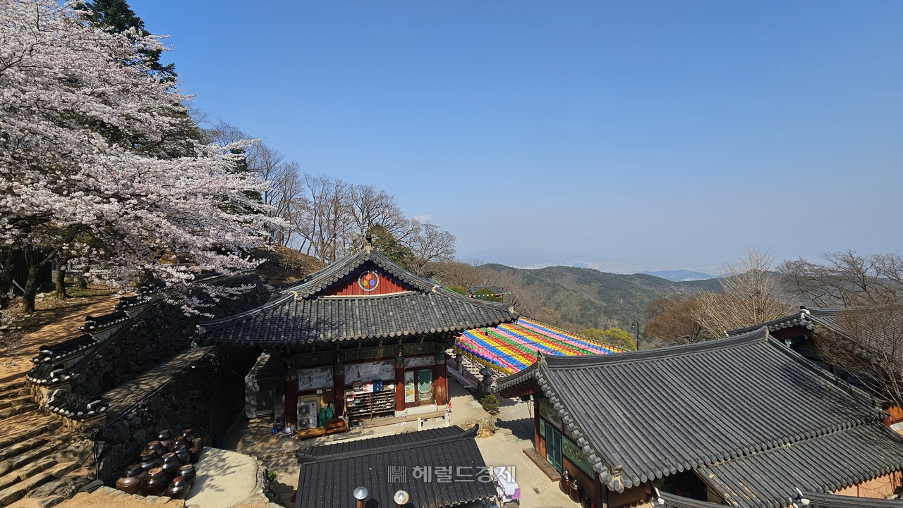 장유사 전경