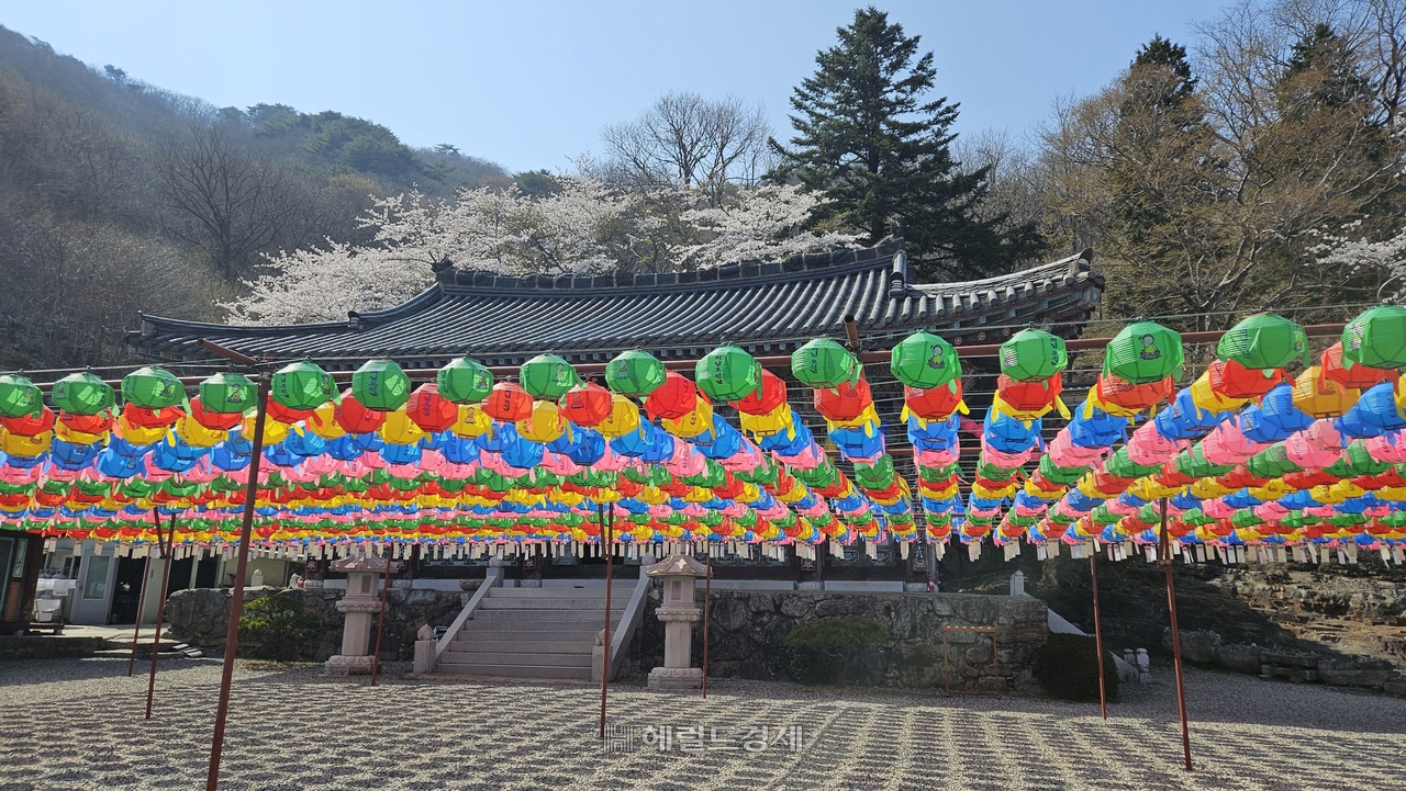 장유사 대웅전 앞뜰
