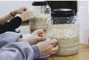 Brewing heritage: How Korea’s traditional alcohol is finding new life