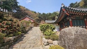 정용식의 사찰 기행