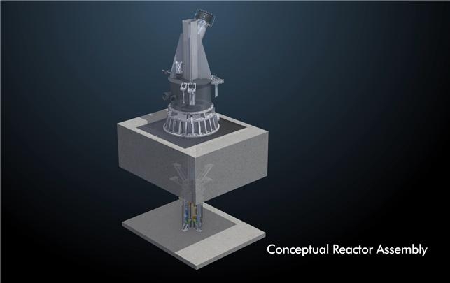 A rendering of Next Generation Missouri University Research Reactor (Ministry of Science and ICT)