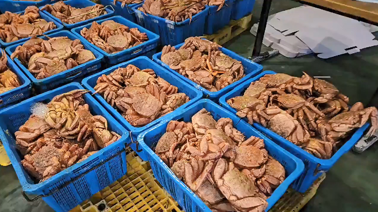 압수한 러시아산 털게. (포항해양경찰서 제공)