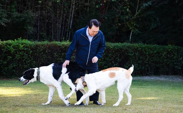 윤석열 전 대통령이 지난 6월 중앙아시아 순방 때 투르크메니스탄으로부터 선물받은 알라바이 두 마리를 산책시키고 있다. [대통령실]