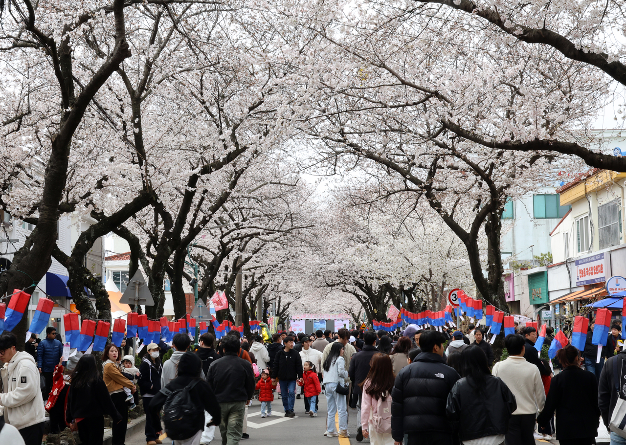제18회 전농로 왕벚꽃 축제 [연합]